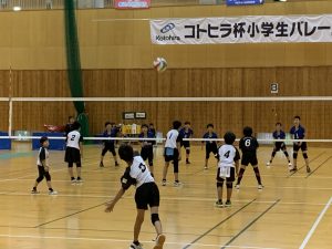 コトヒラ杯小学生バレーボール大会で試合を行う子どもたちの様子