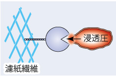 3.内部浸透圧による破裂