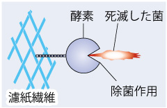 4.細菌の死滅